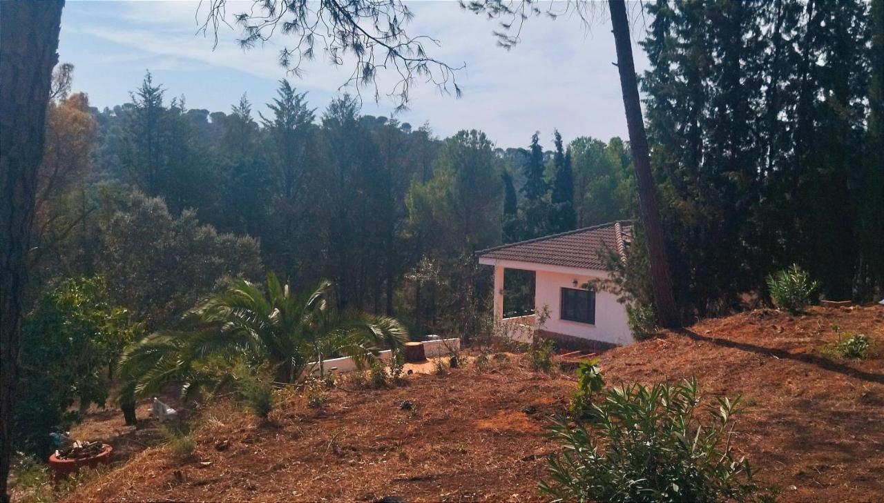 Villa Bonita Casa Blanca En El Bosque. à Cordoue Extérieur photo